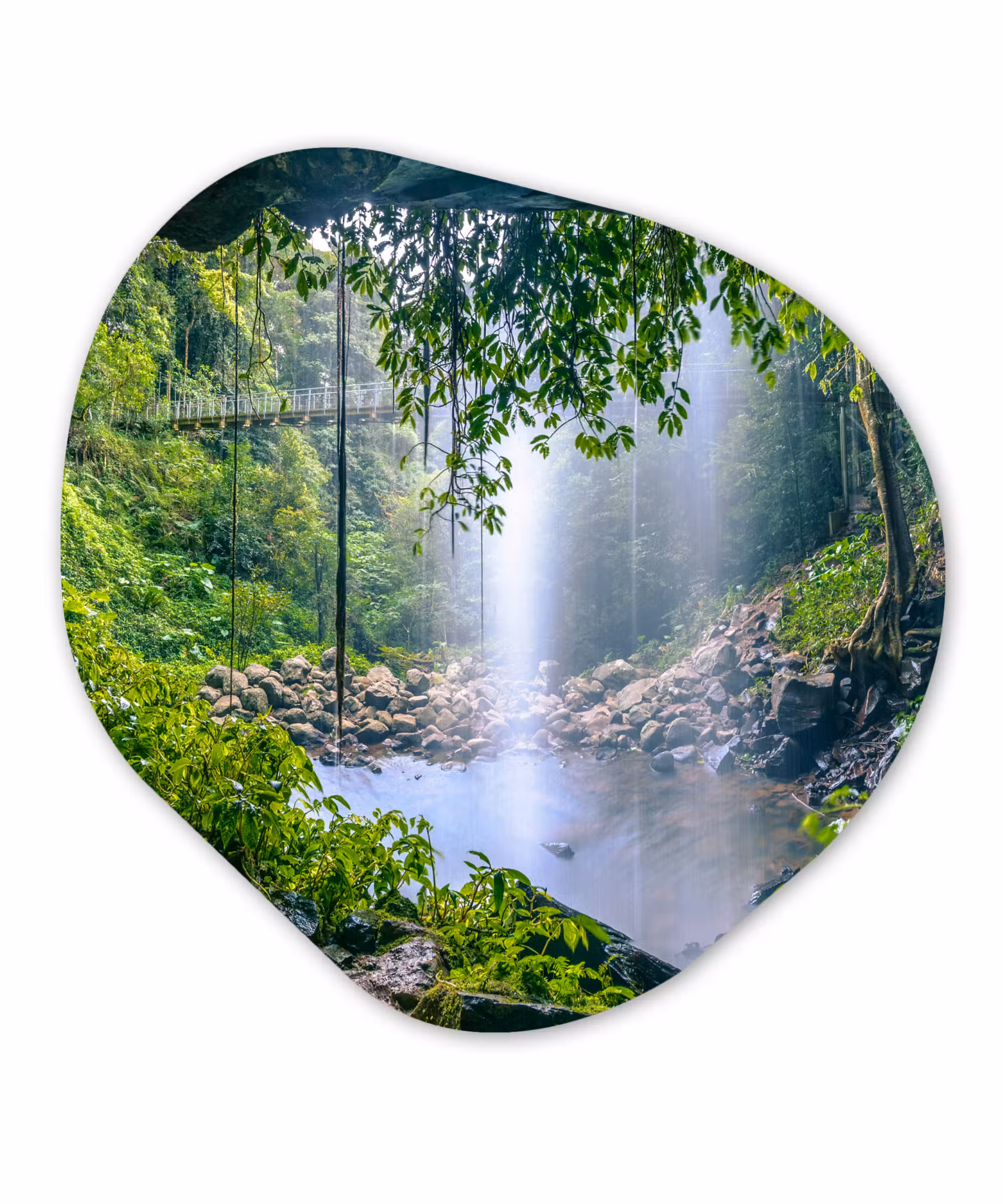Organische Formen – Aluminium – Jungle - Regenwoud - Water - Waterval - Planten
