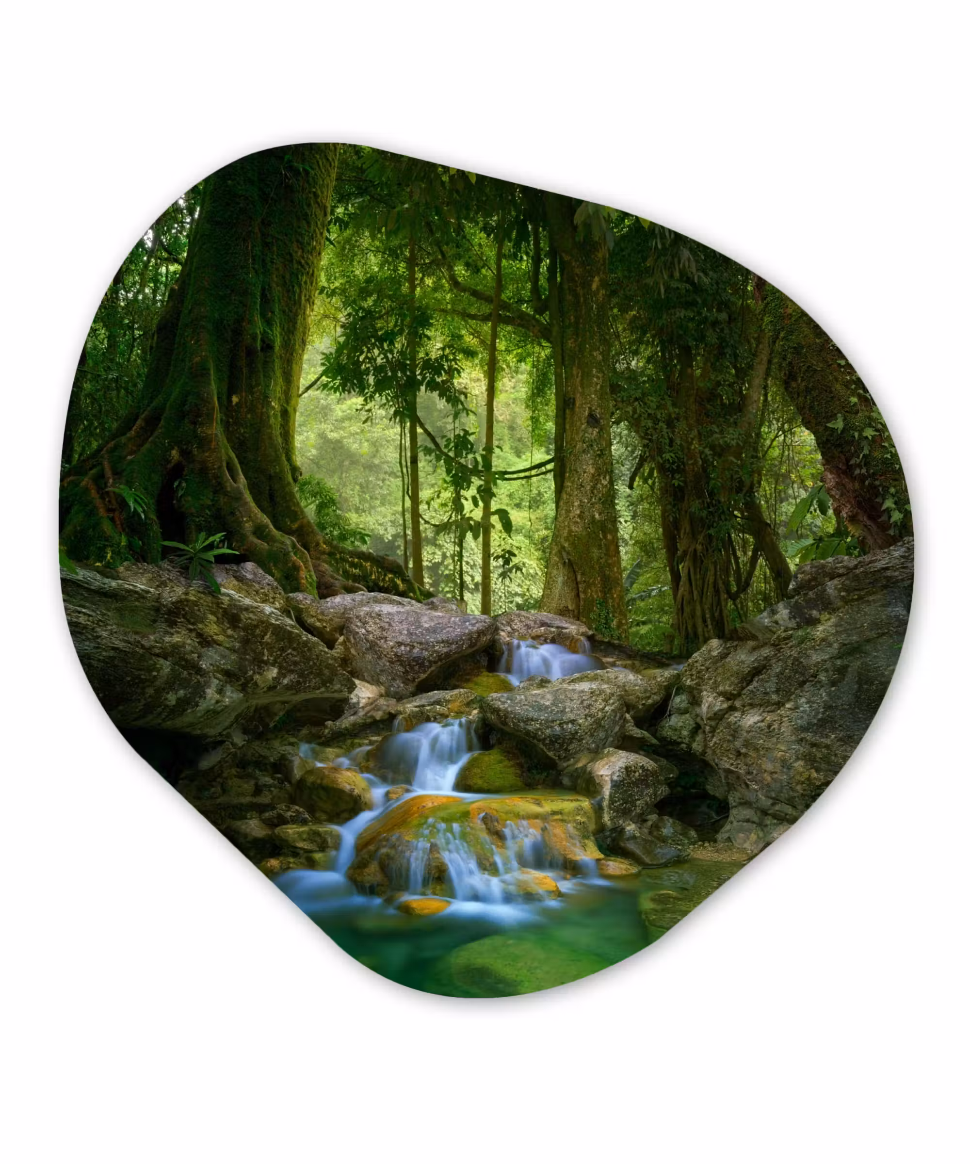 Organische Formen – Aluminium – Jungle - Stenen - Water - Natuur - Planten