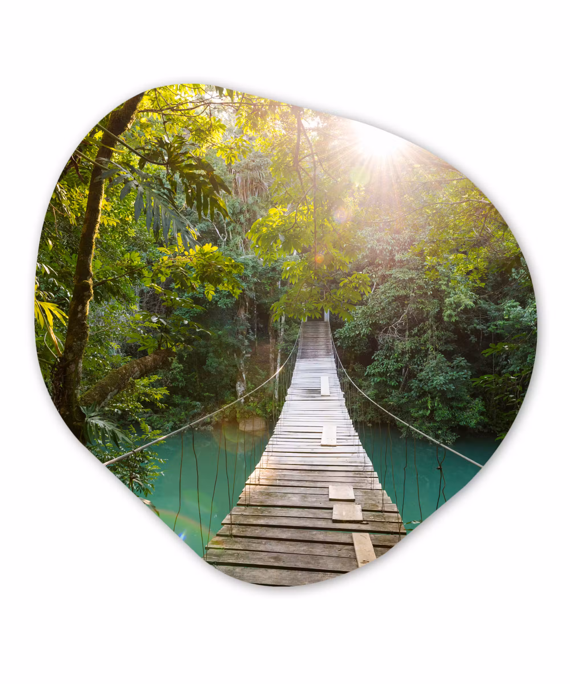 Organische Formen – Aluminium – Jungle - Water - Brug - Natuur - Planten