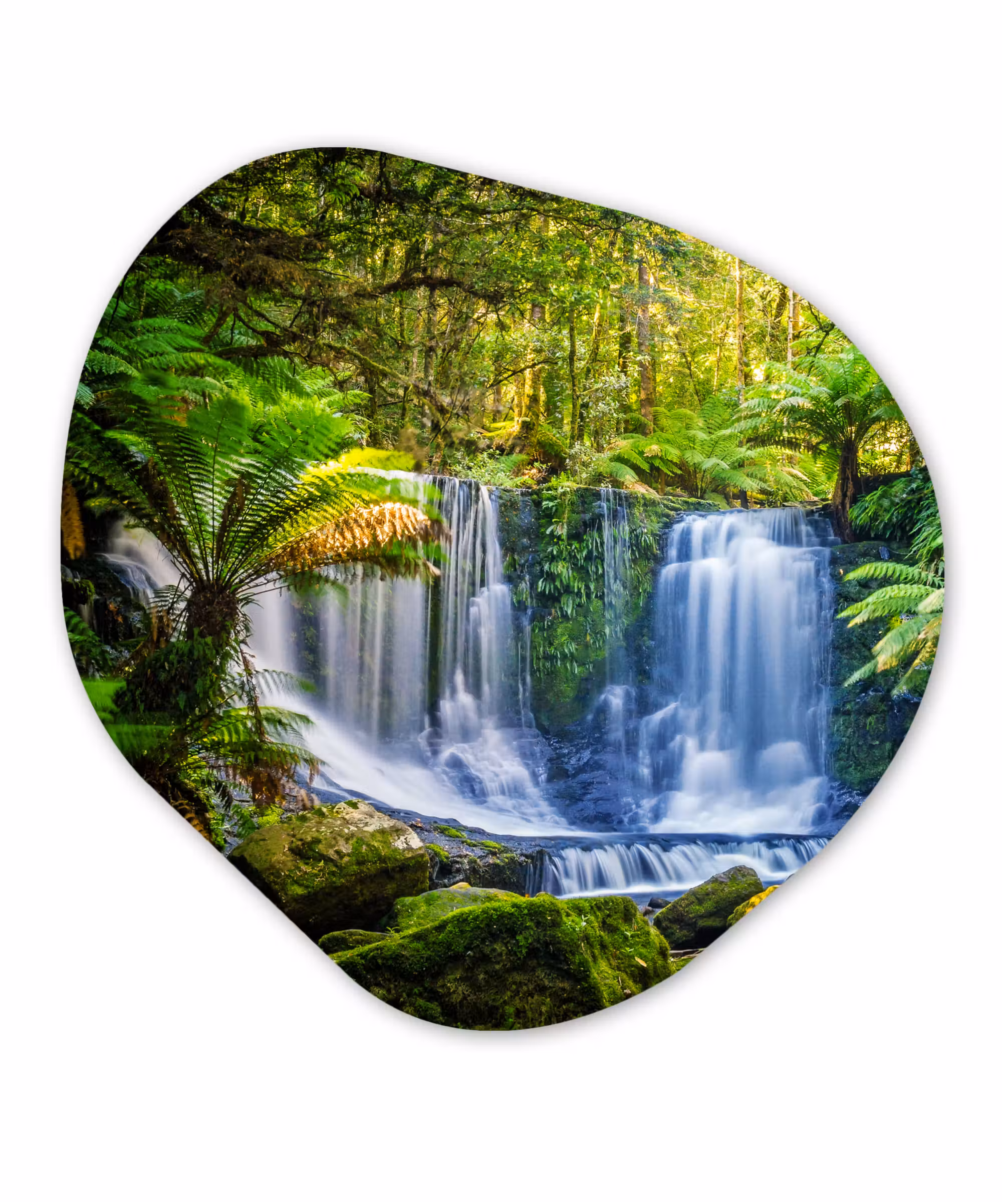 Organische Formen – Aluminium – Jungle - Waterval - Australië - Planten - Natuur