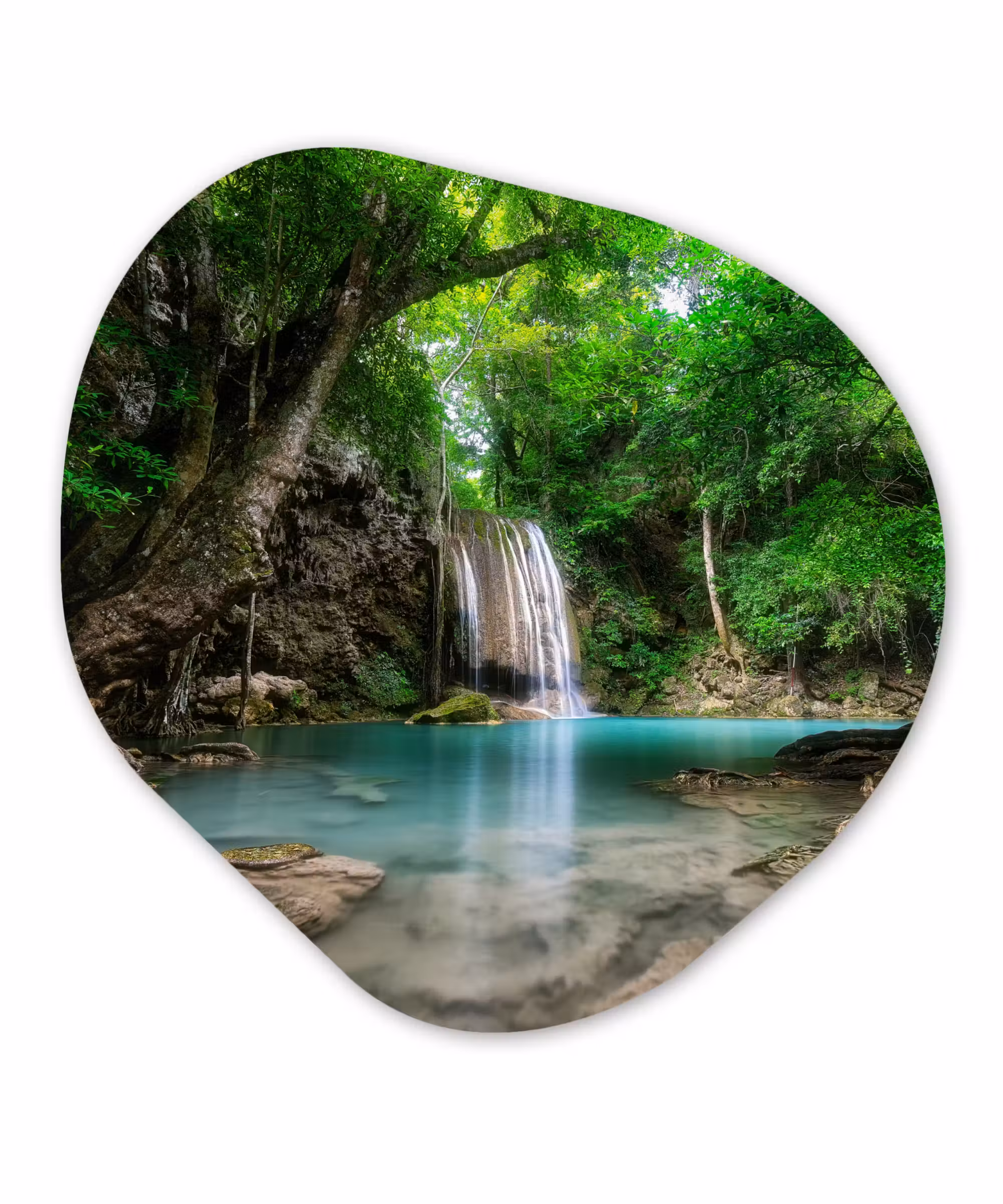 Organische Formen – Aluminium – Jungle - Waterval - Planten - Water - Natuur
