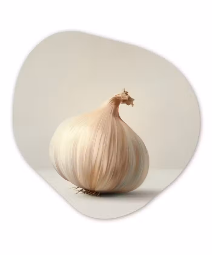 Organisch schilderij – Knoflook - Natuurlijk - Beige