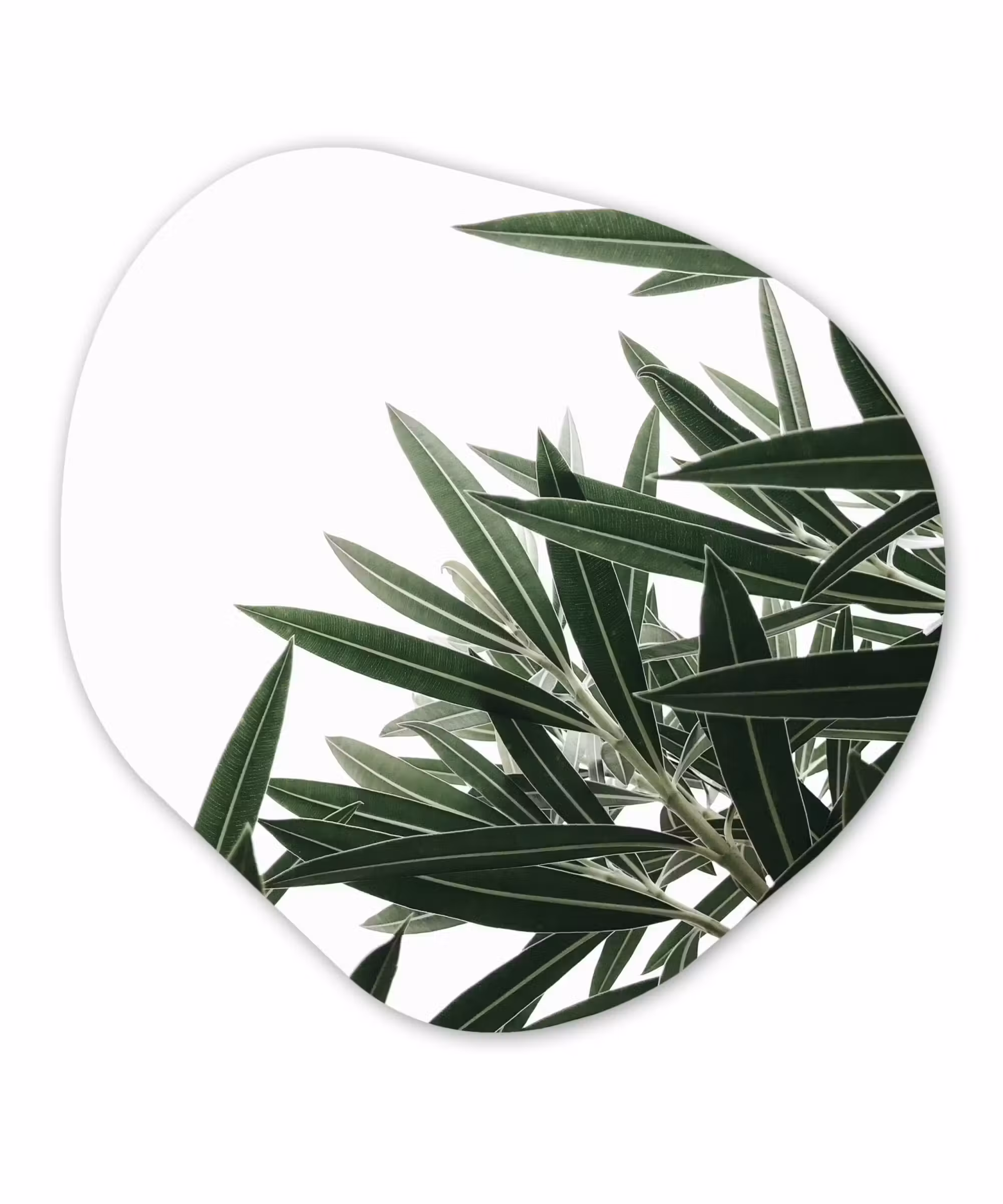 Organische Formen – Aluminium – Natuur - Planten - Bladeren