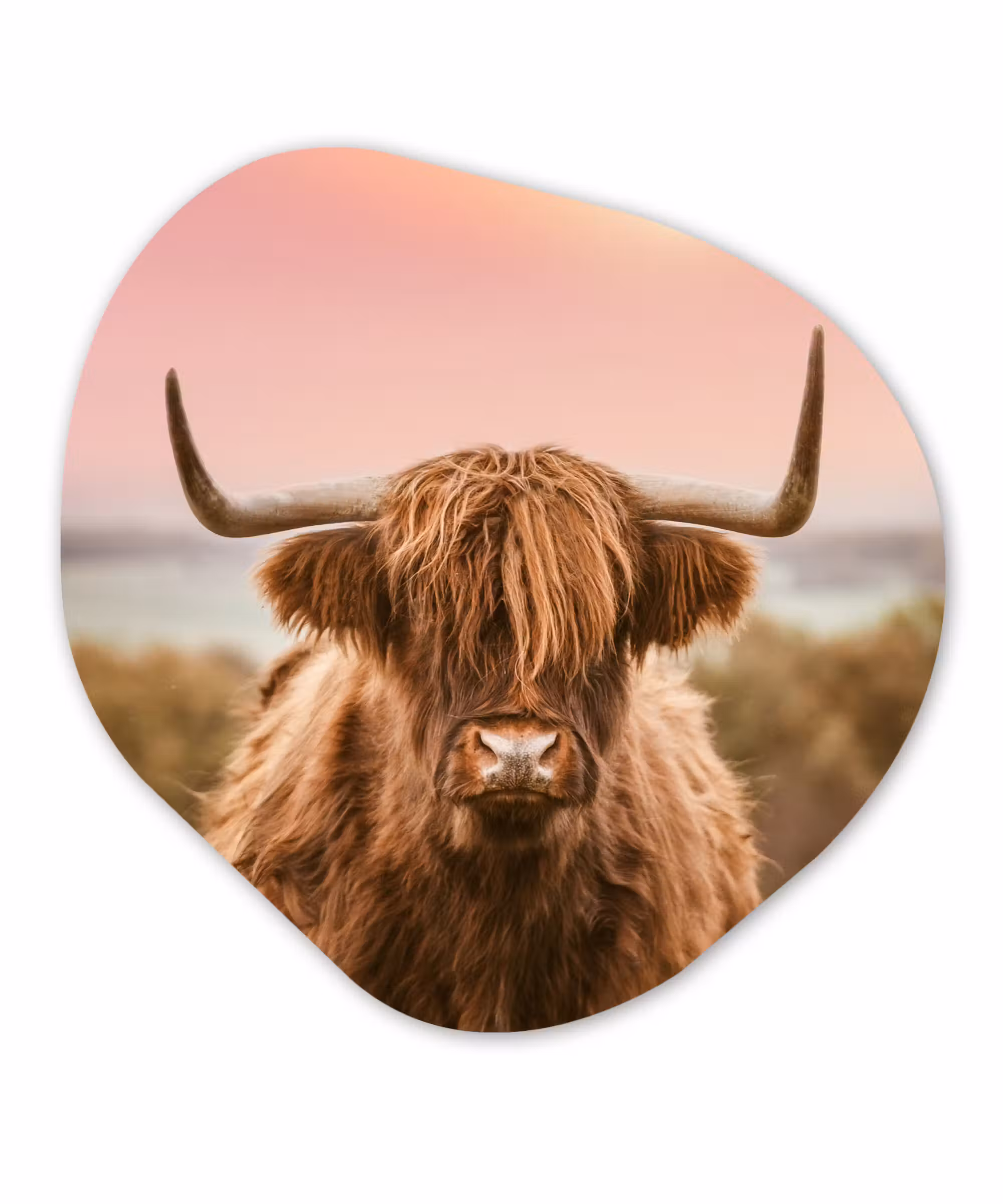 Organische Formen – Aluminium – Natuur - Schotse hooglander - Roze
