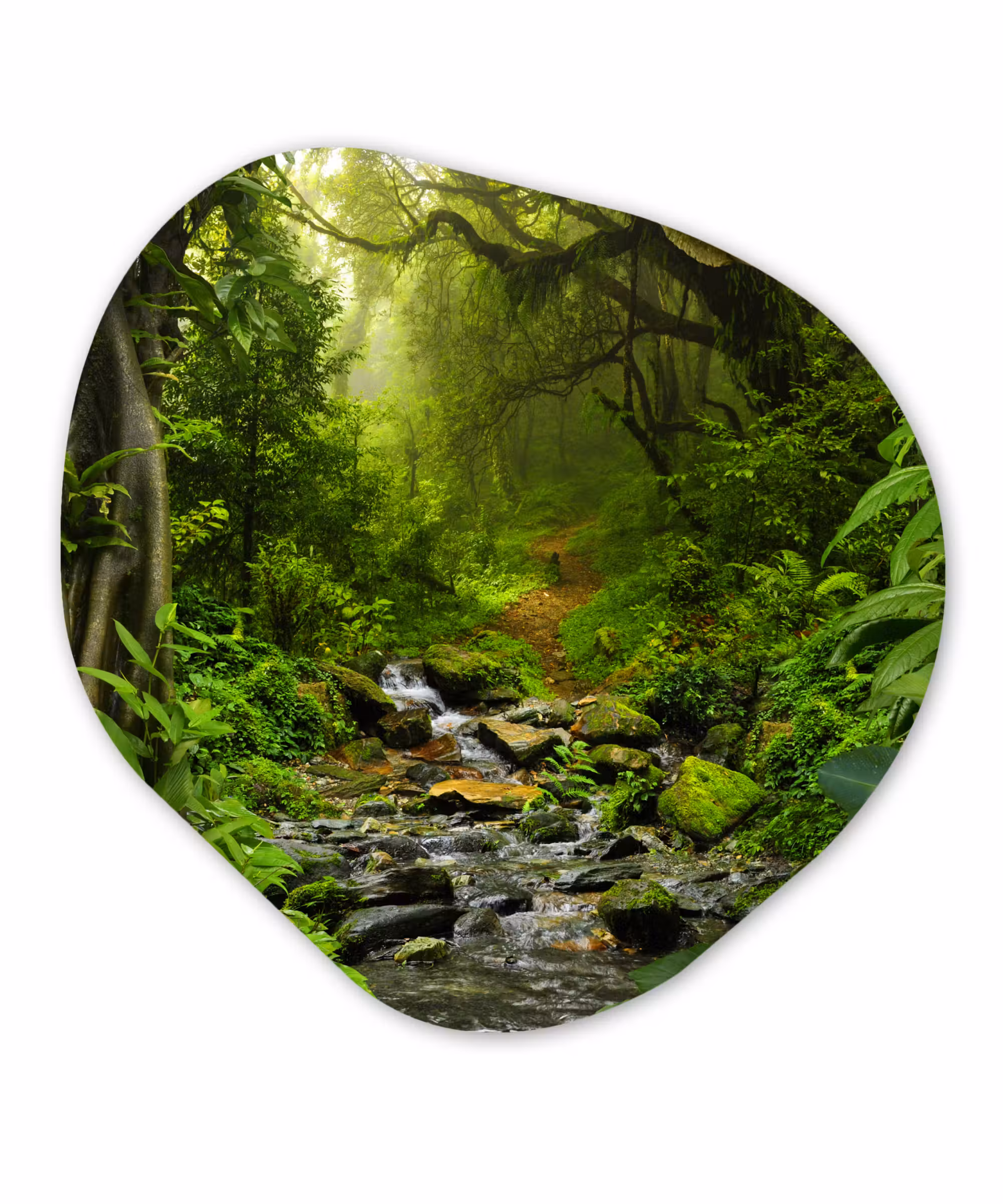 Organische Formen – Aluminium – Natuur - Water - Jungle - Bos - Tropisch