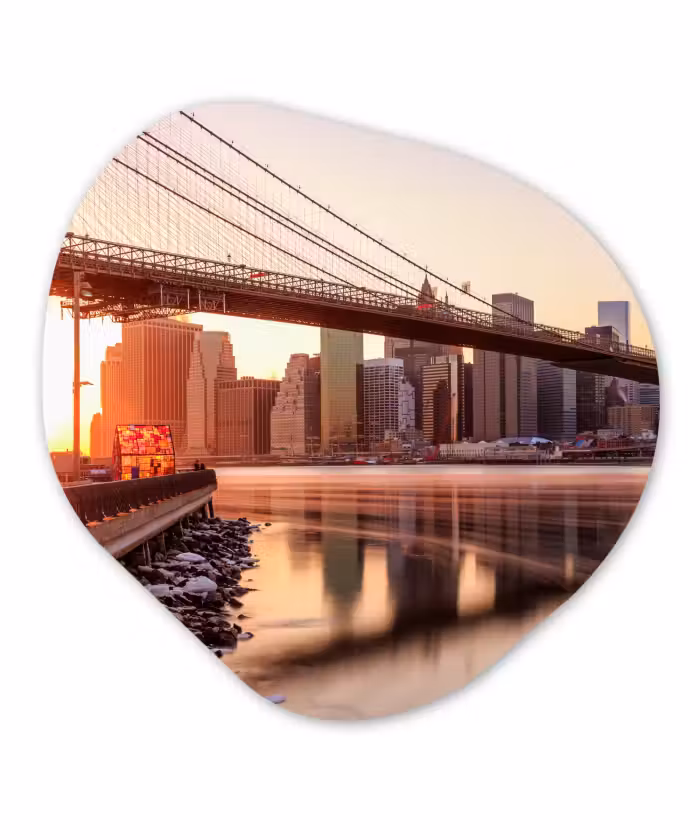 Organische Formen – Aluminium – New York - Brooklyn - Bridge