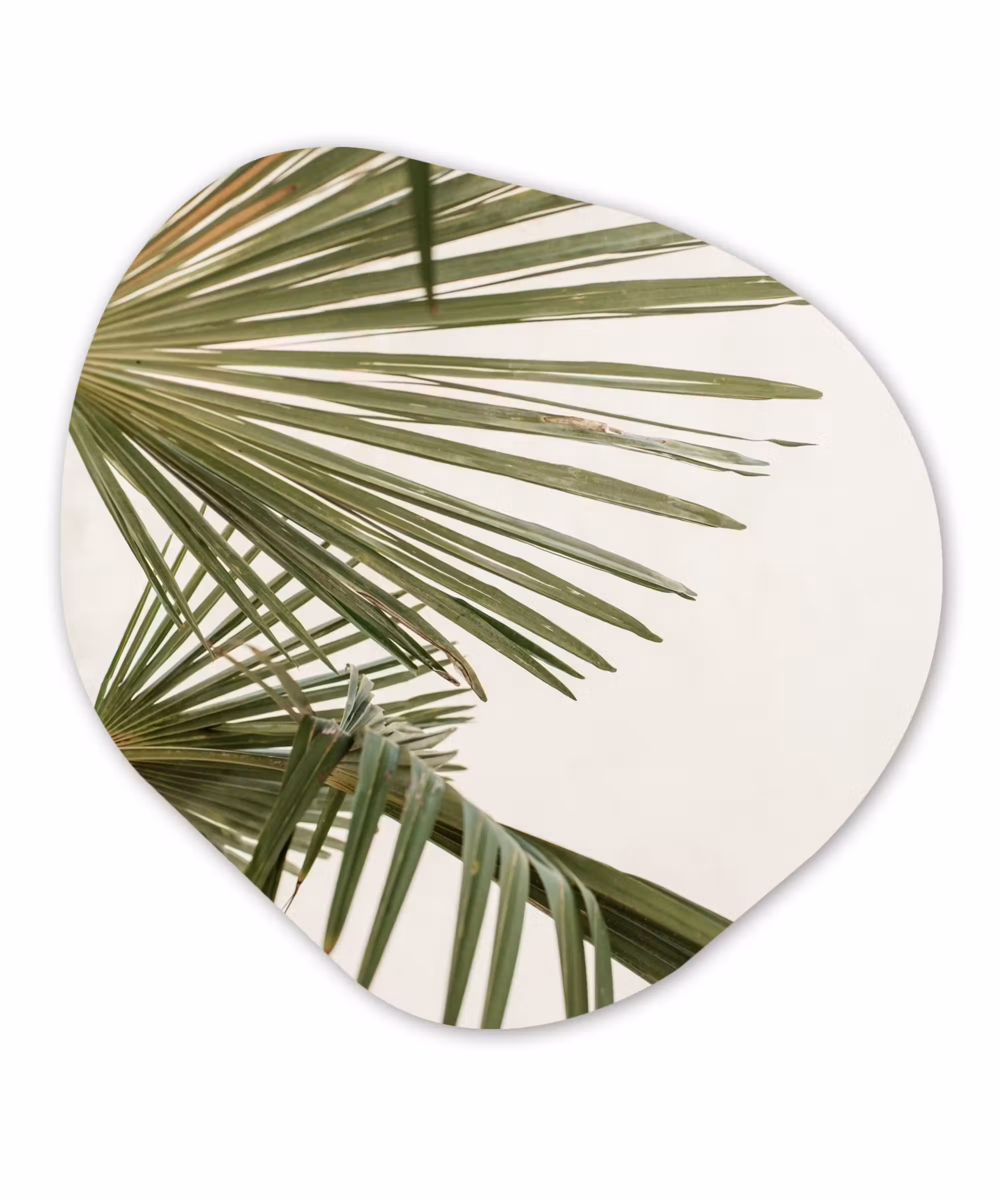 Organische Formen – Aluminium – Palmbladeren - Groen - Natuur