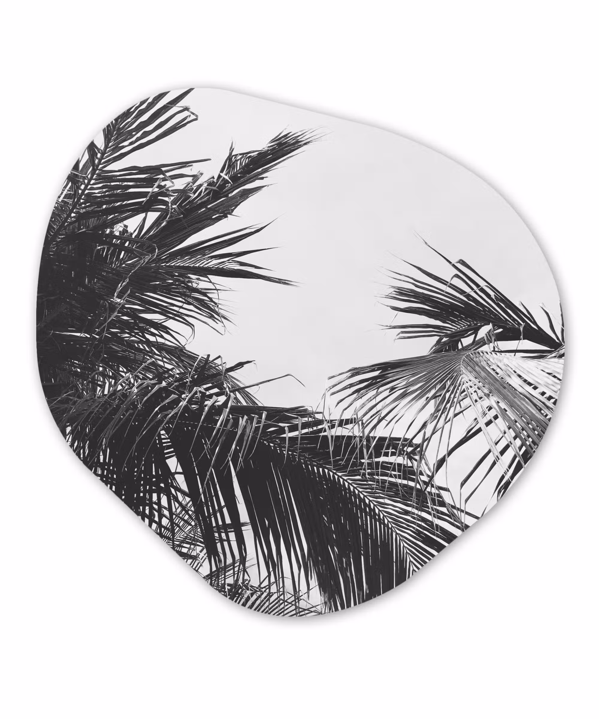 Organische Formen – Aluminium – Palmbladeren - Natuur - Vintage - Palmboom