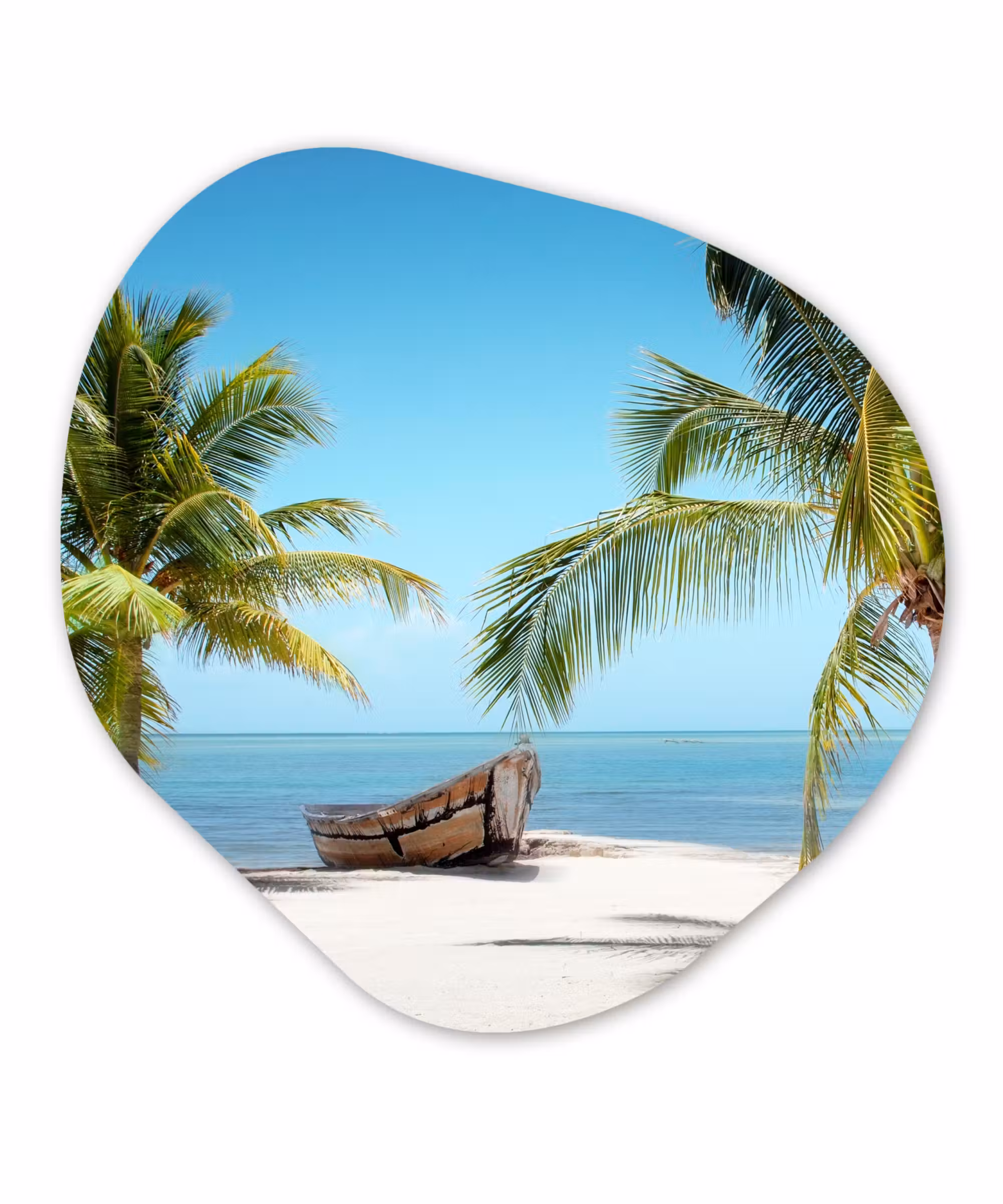 Organische Formen – Aluminium – Palmboom - Boot - Strand