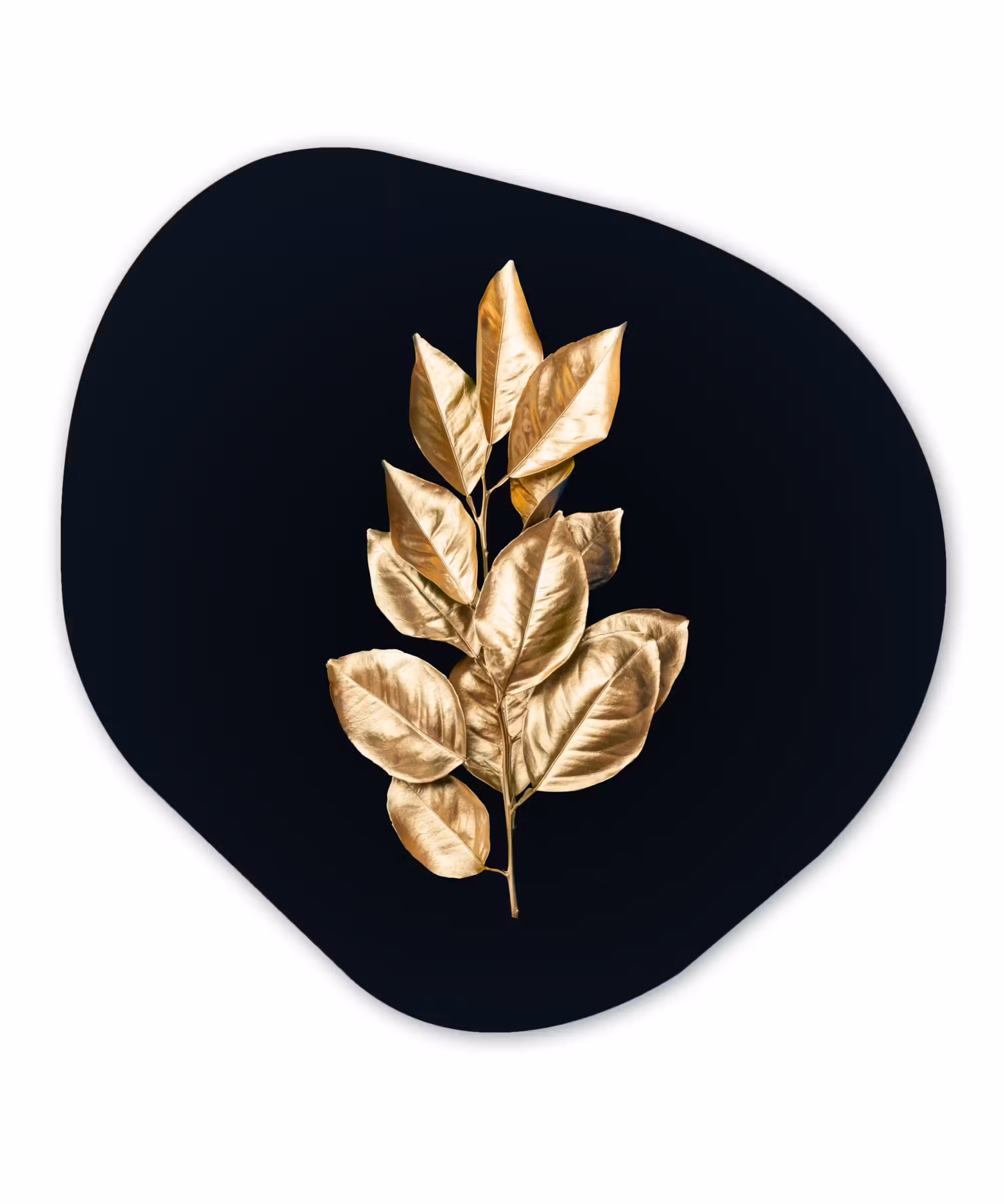 Organische Formen – Aluminium – Plant - Bladeren - Goud - Zwart - Luxe