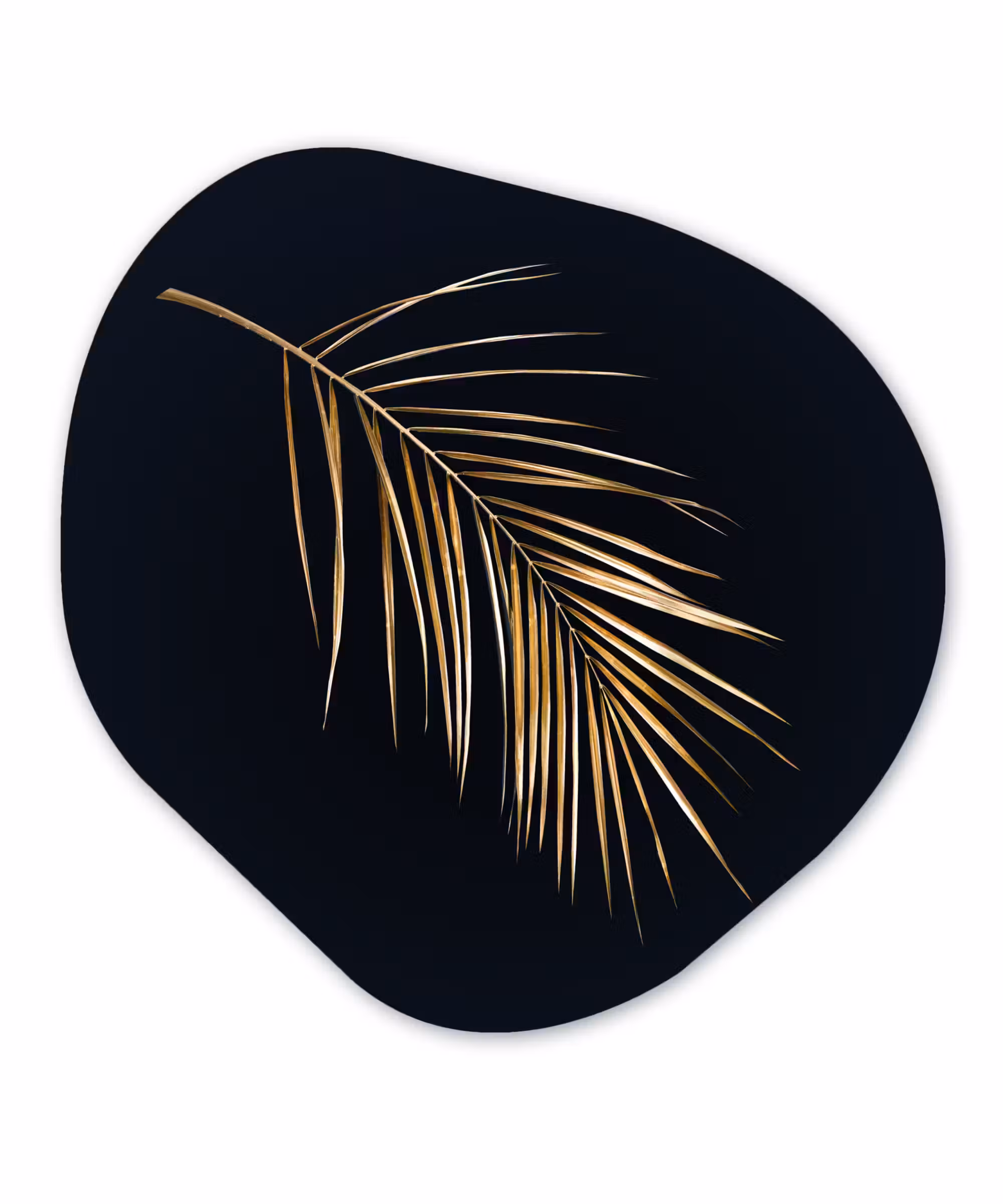 Organische Formen – Aluminium – Planten - Goud - Zwart - Bladeren - Luxe