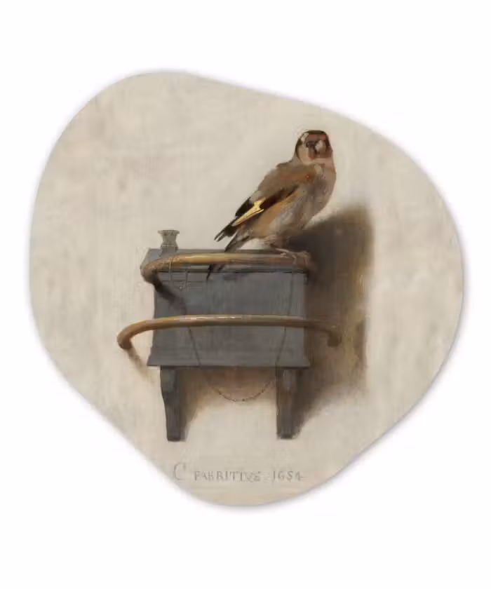 Organische Formen – Aluminium – Puttertje - Oude Meester - Carel Fabritius