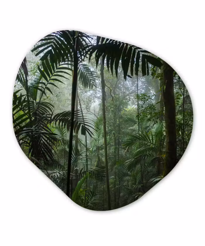 Organische Formen – Aluminium – Regenwoud - Tropisch - Jungle - Bomen - Planten