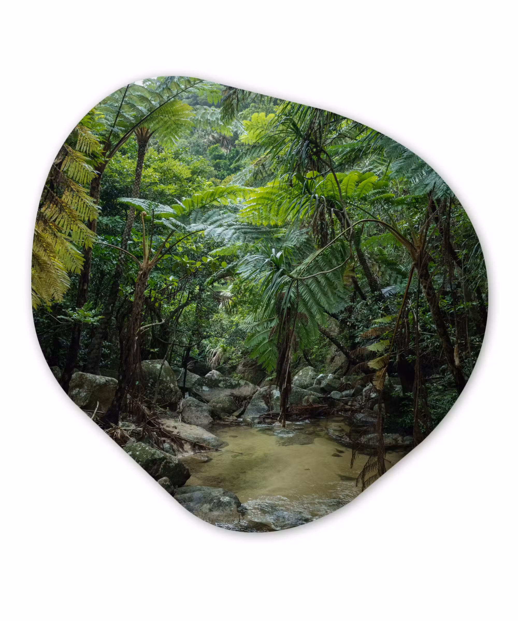 Organische Formen – Aluminium – Riviertje in tropische jungle
