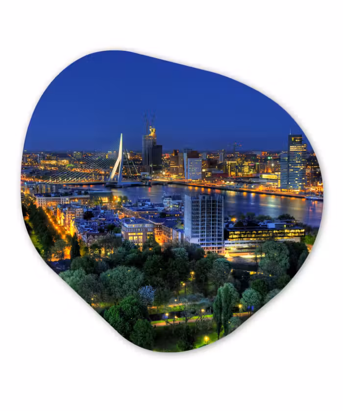 Organische Formen – Aluminium – Rotterdam - Nederland - Skyline