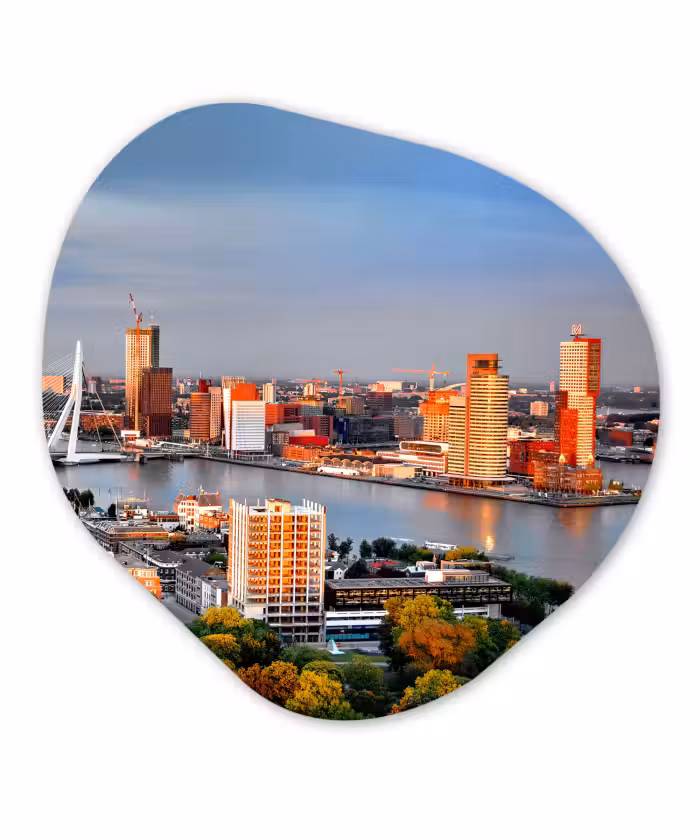 Organische Formen – Aluminium – Rotterdam - Skyline - Boom