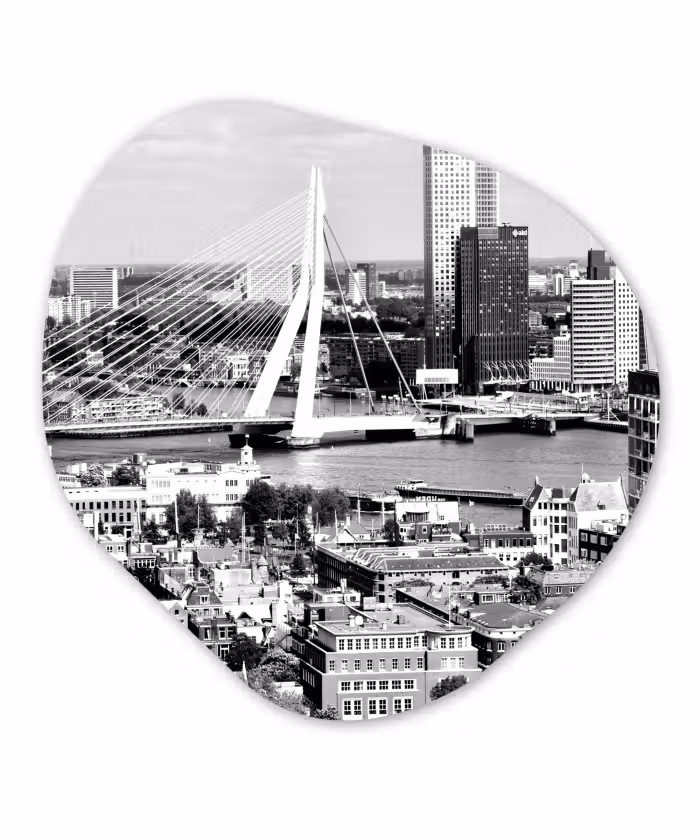 Organische Formen – Aluminium – Rotterdam - Skyline - Zwart - Wit