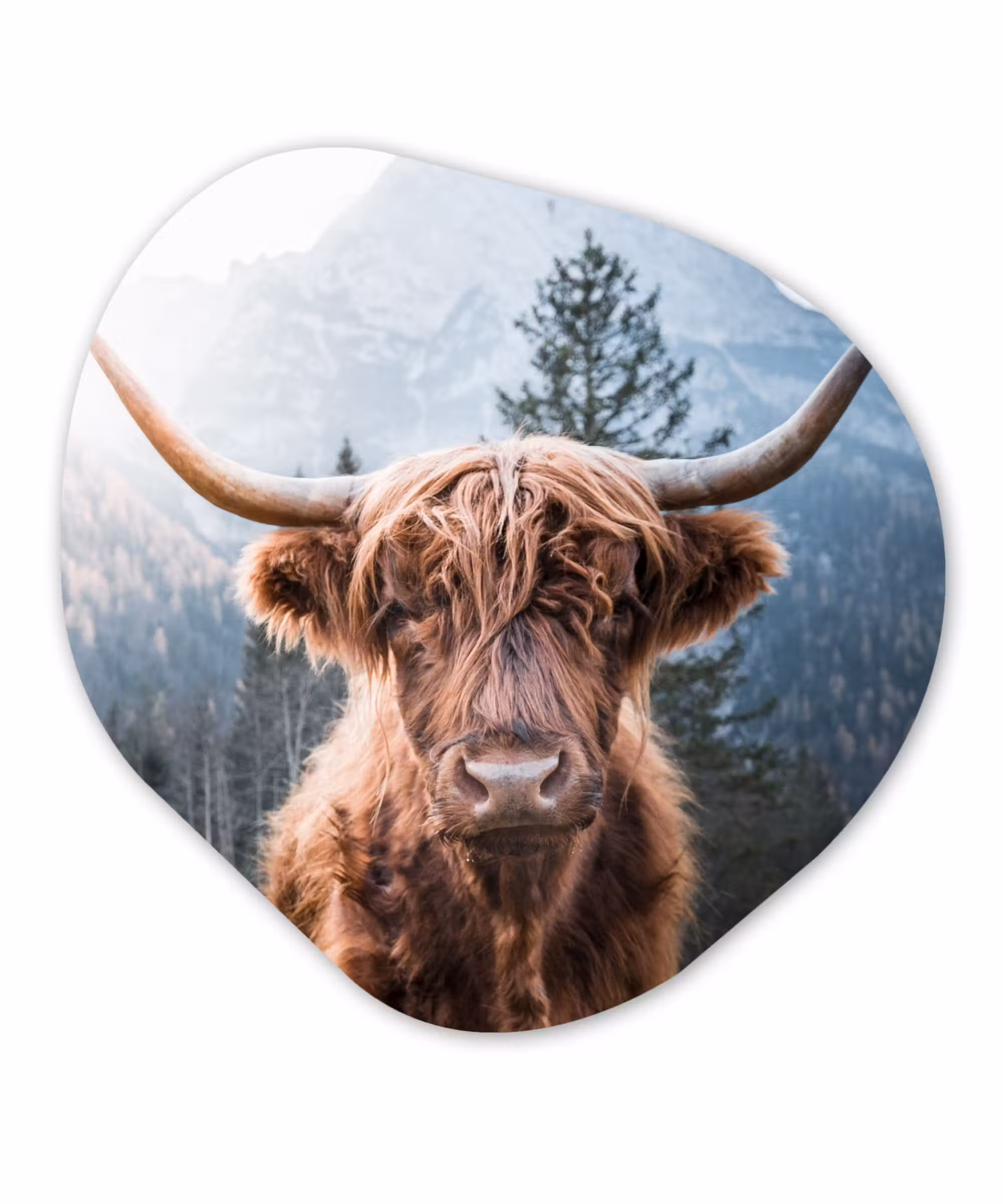 Organische Formen – Aluminium – Schotse hooglander - Berg - Landschap