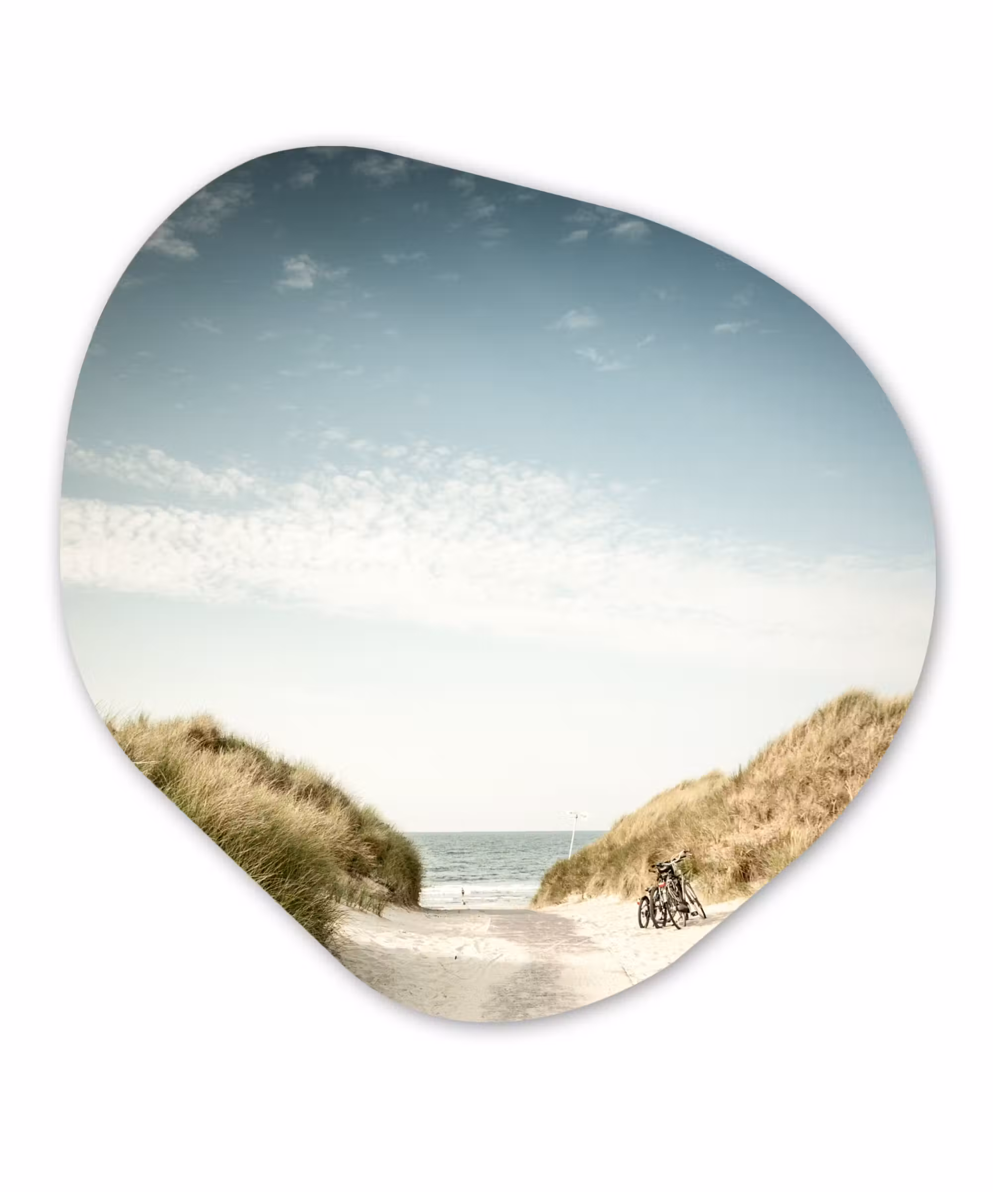 Organische Formen – Aluminium – Strand - Duin - Lucht