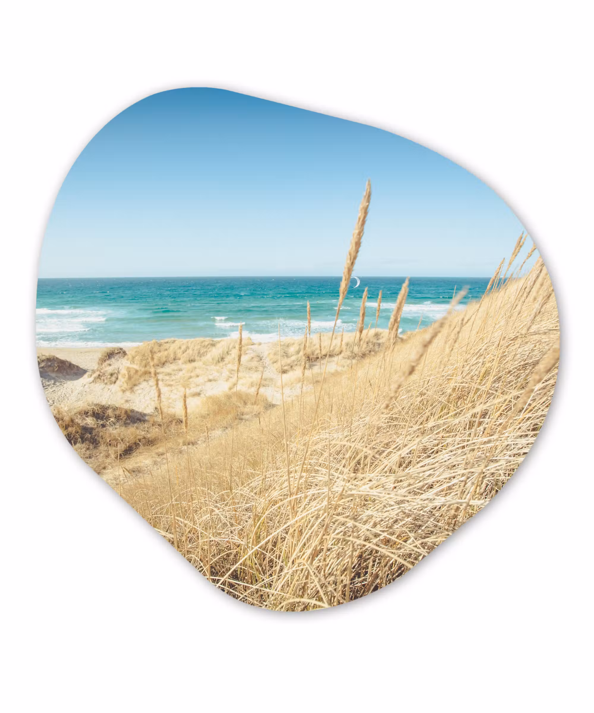 Organische Formen – Aluminium – Strand - Duin - Noorwegen