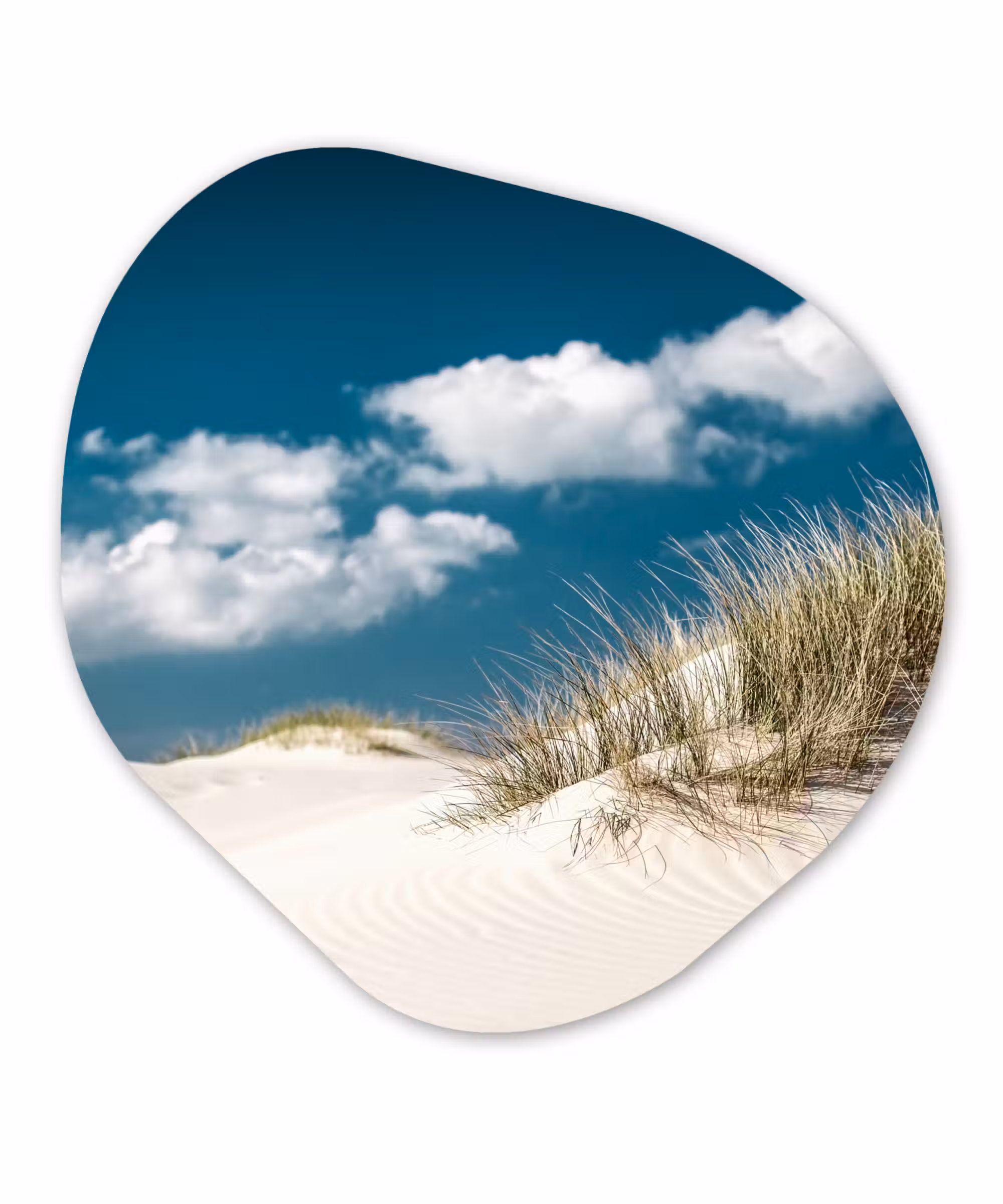 Organische Formen – Aluminium – Strand - Duinen - Gras