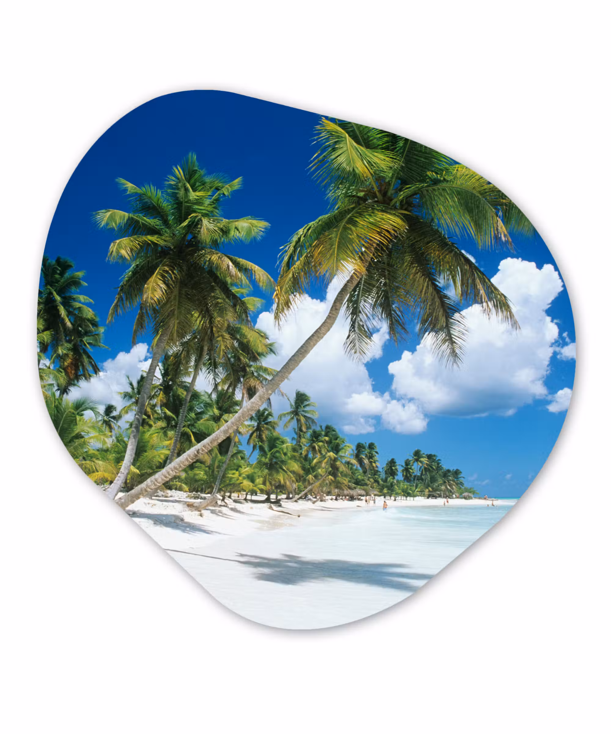 Organische Formen – Aluminium – Strand - Palmboom - Tropisch