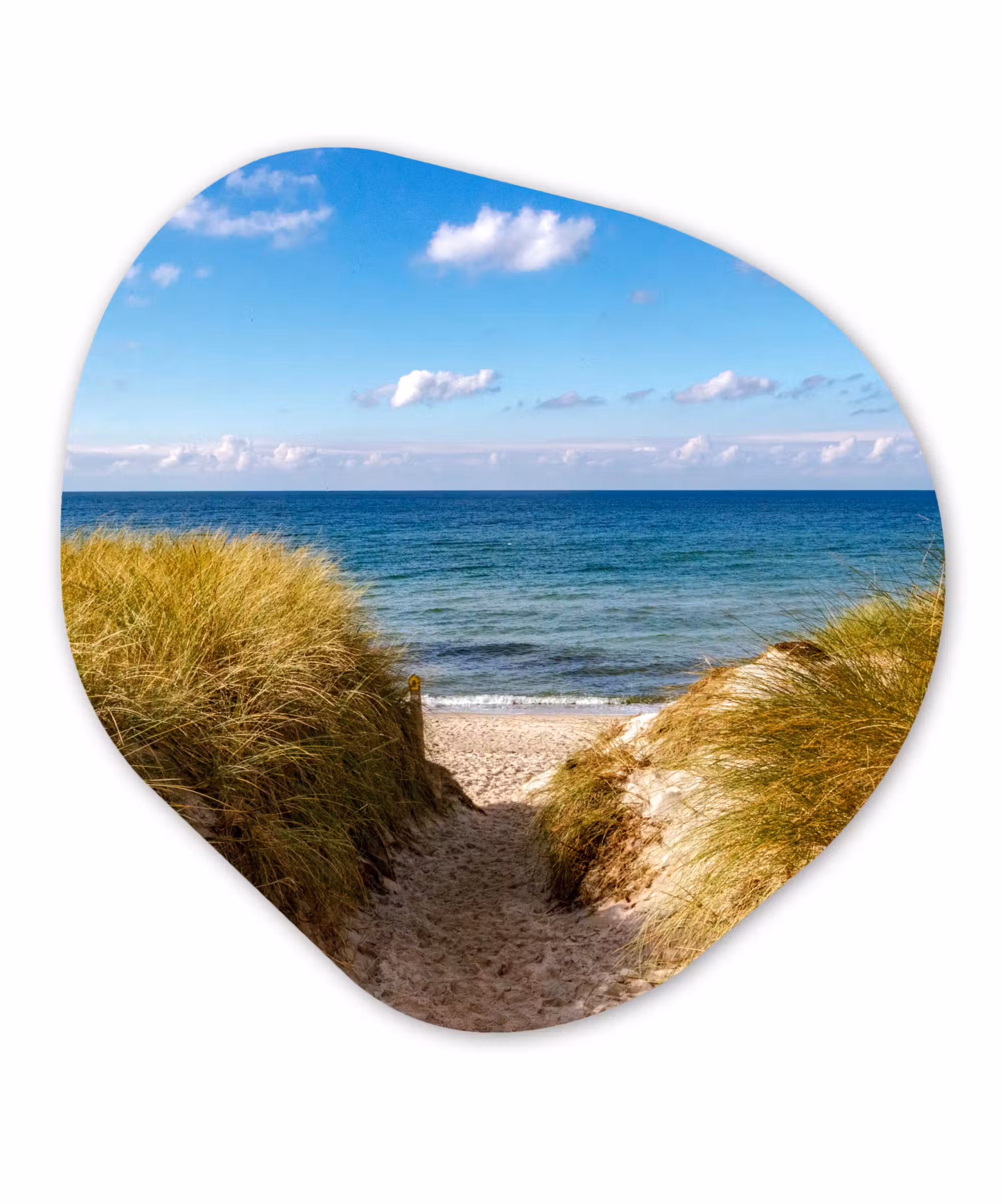 Organische Formen – Aluminium – Strand - Wolken - Duitsland