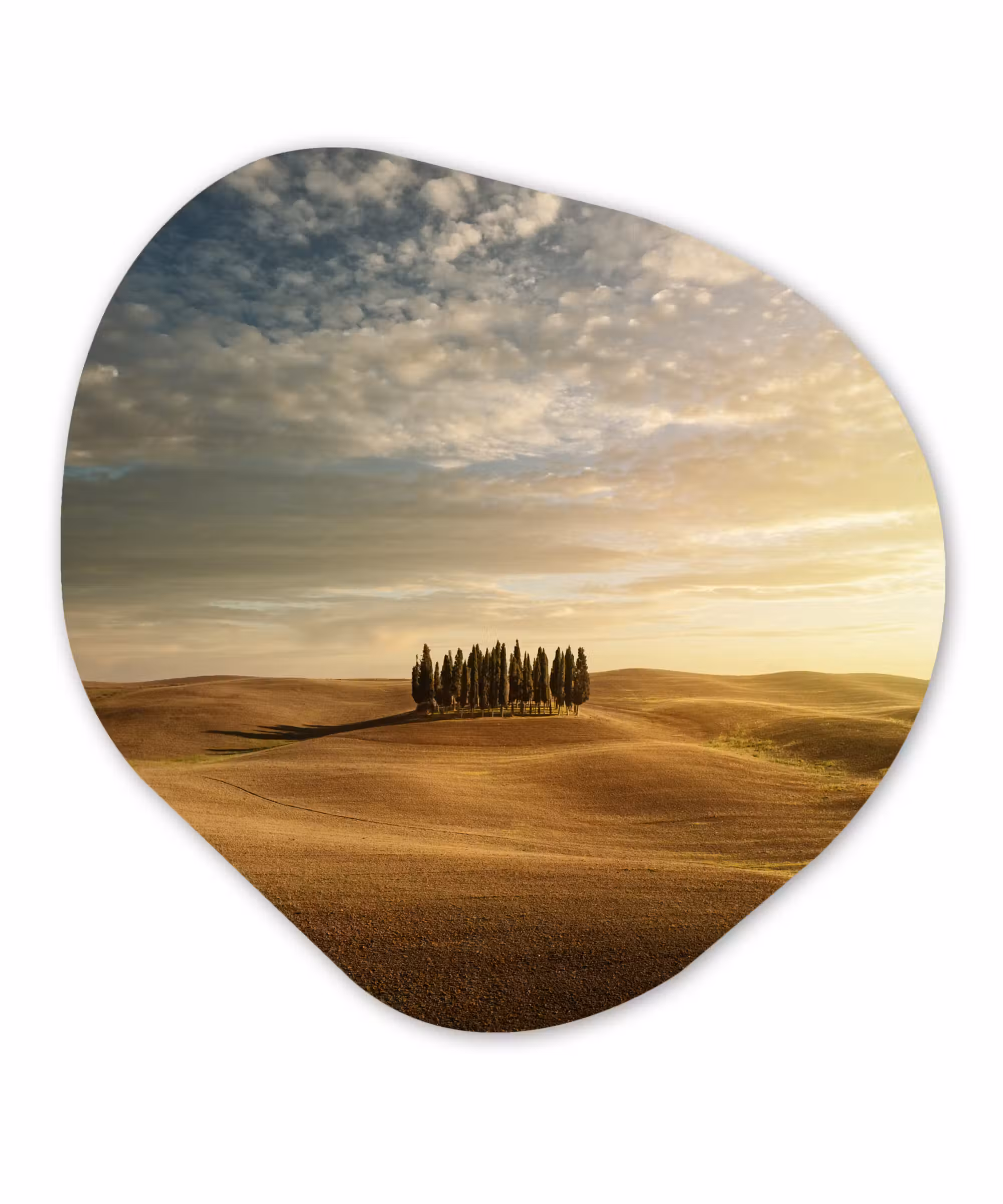 Organische Formen – Aluminium – Toscane - Bomen - Italië