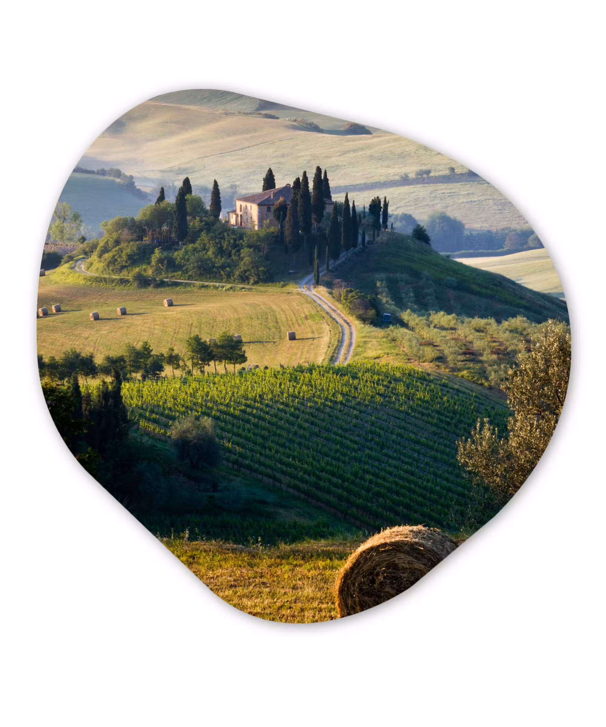 Organische Formen – Aluminium – Toscane - Landschap - Groen