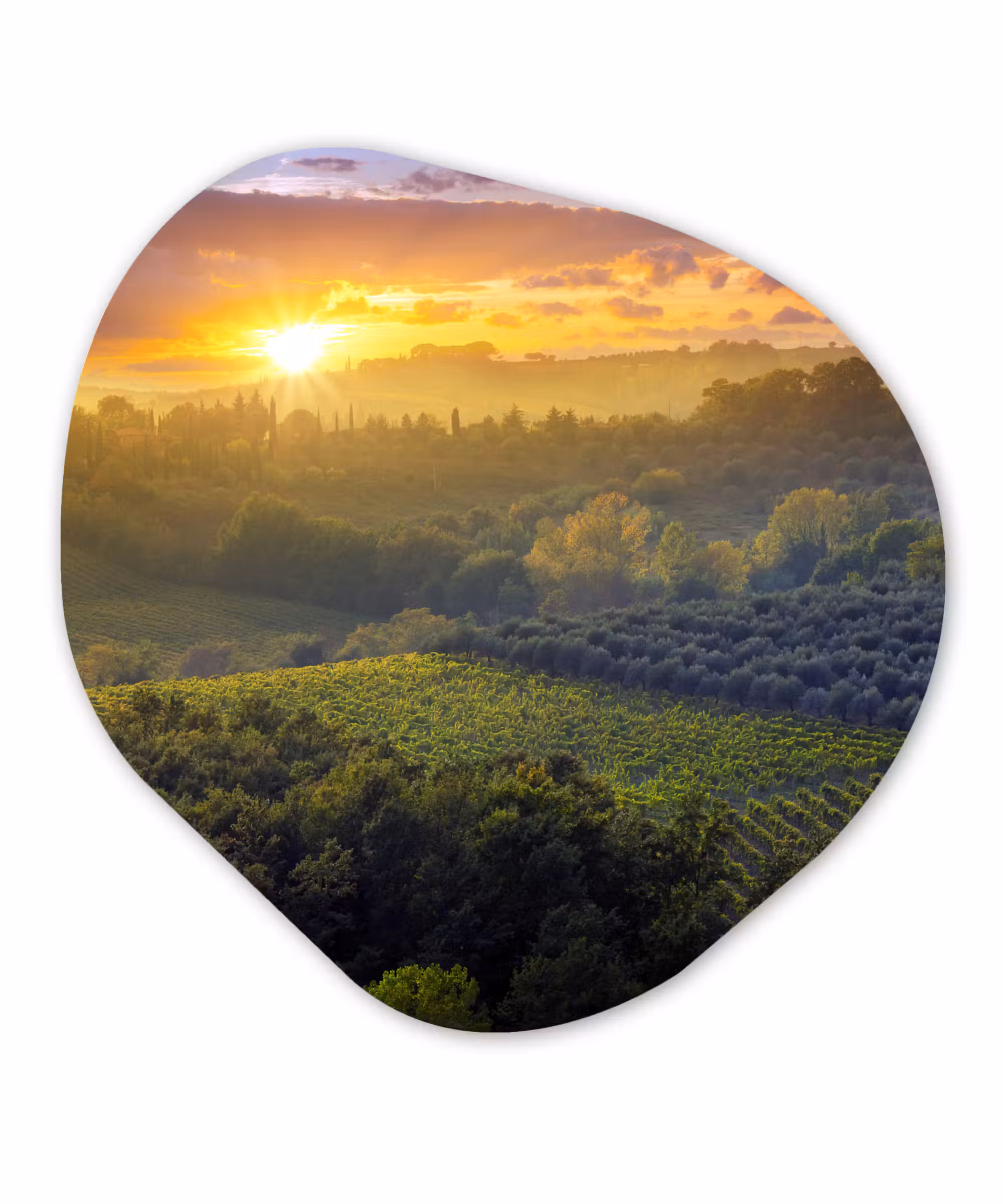 Organische Formen – Aluminium – Toscane - Landschap - Zon
