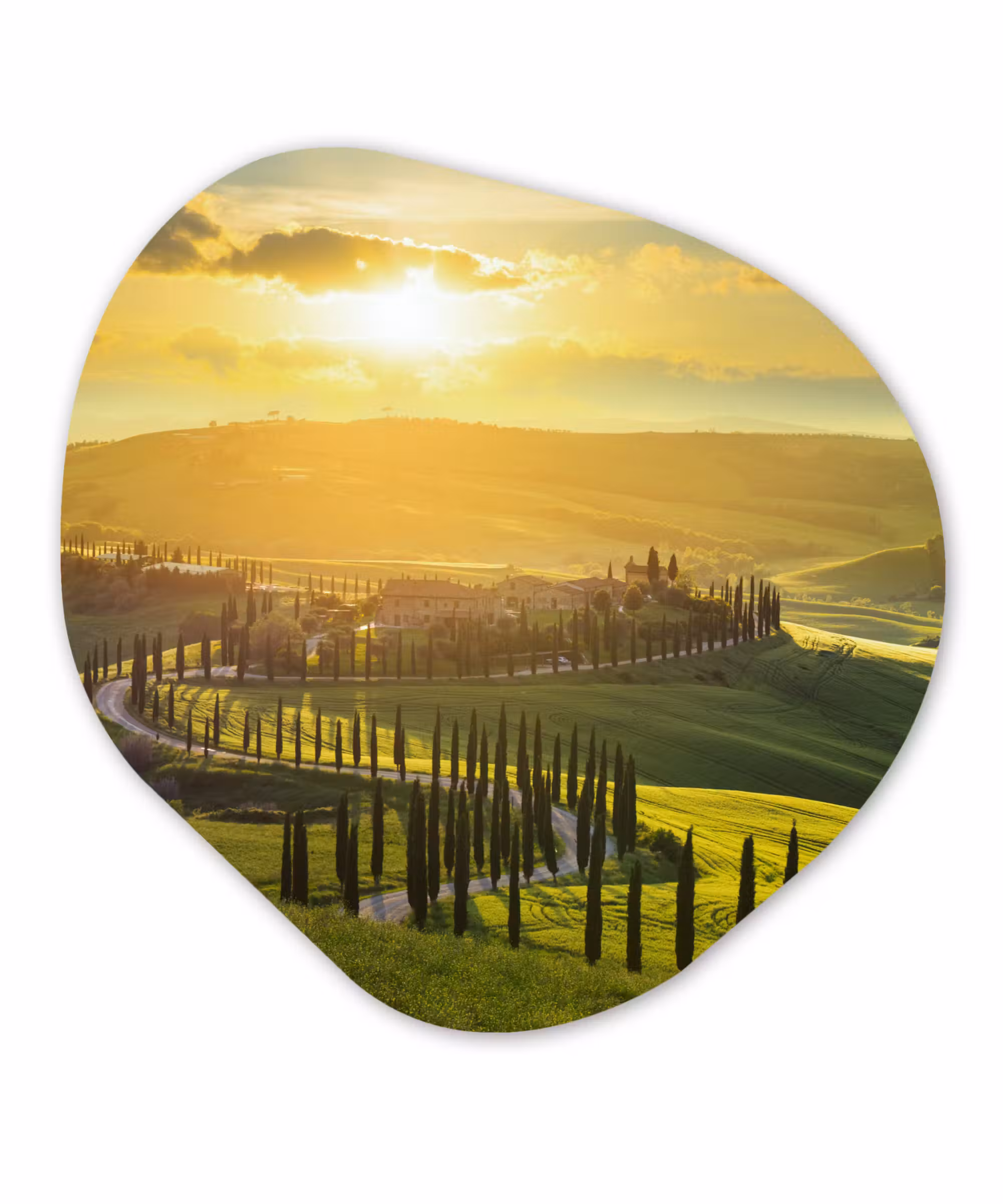 Organische Formen – Aluminium – Toscane - Zon - Italië