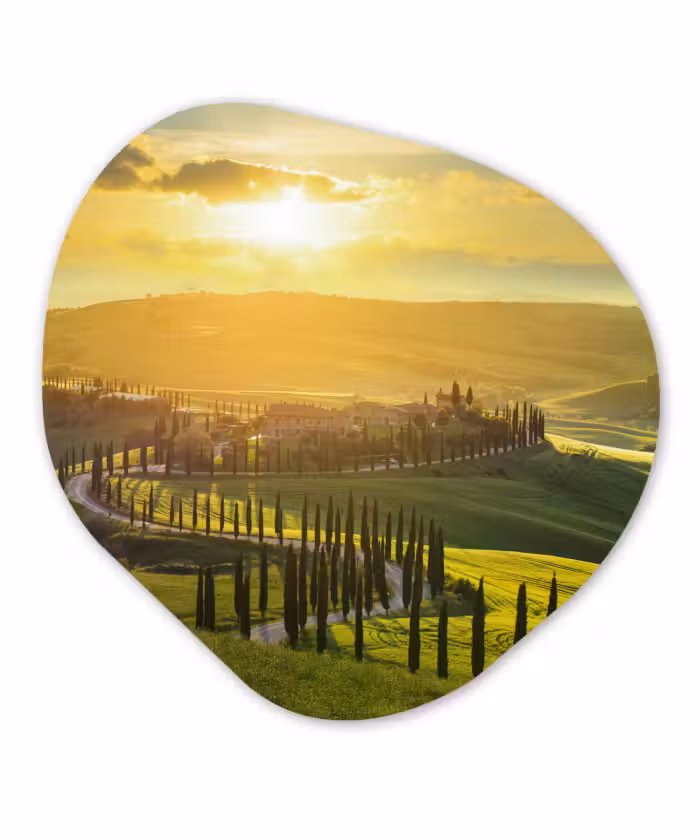 Organische Formen – Aluminium – Toscane - Zon - Italië