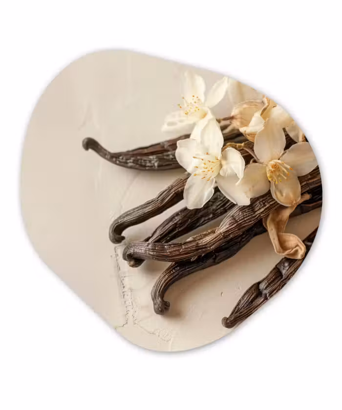 Organisch schilderij – Vanille - Bloemen - Beige