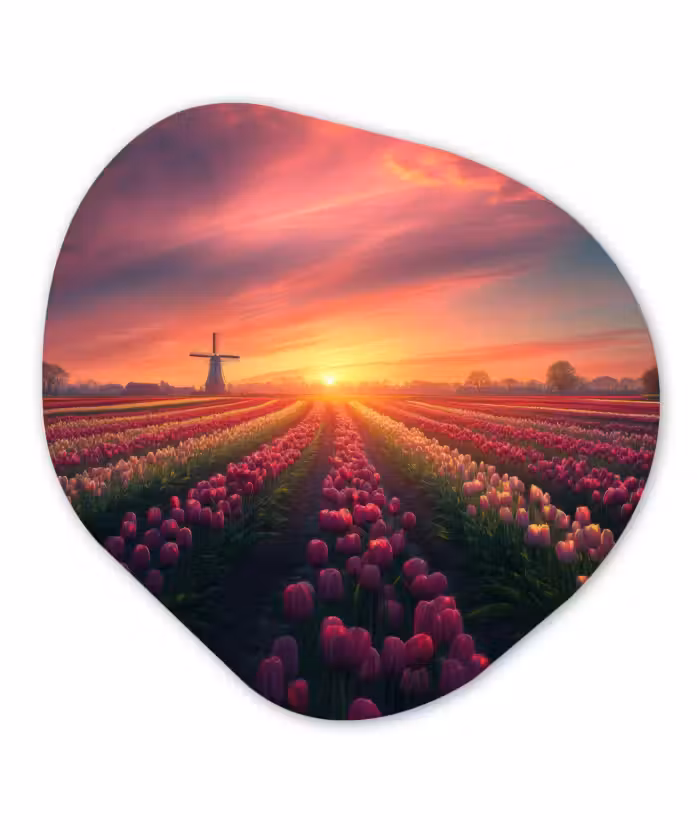 Organisch schilderij – Windmolen - Zonsondergang - Landschap