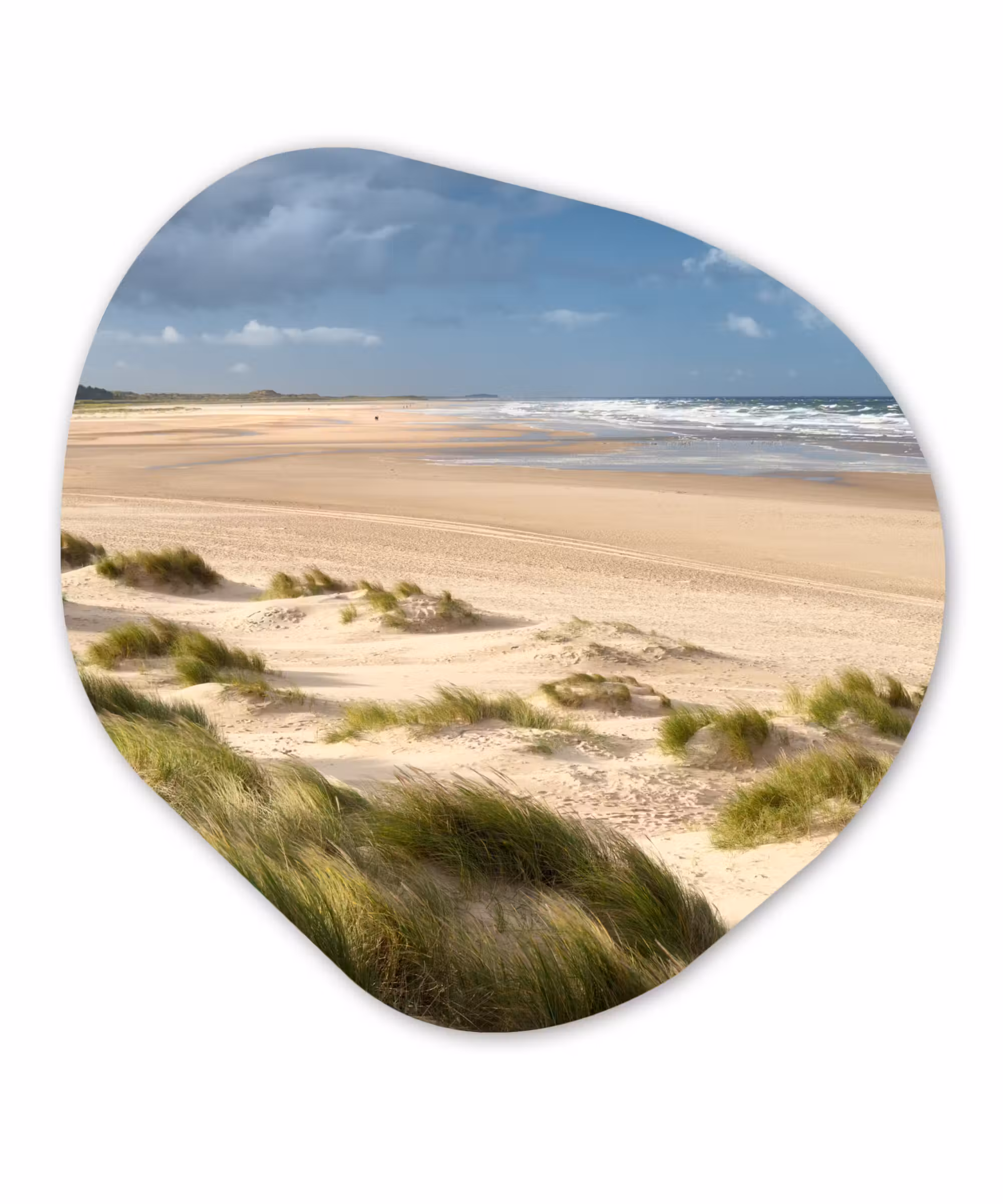 Organische Formen – Aluminium – Zand - Duin - Zee