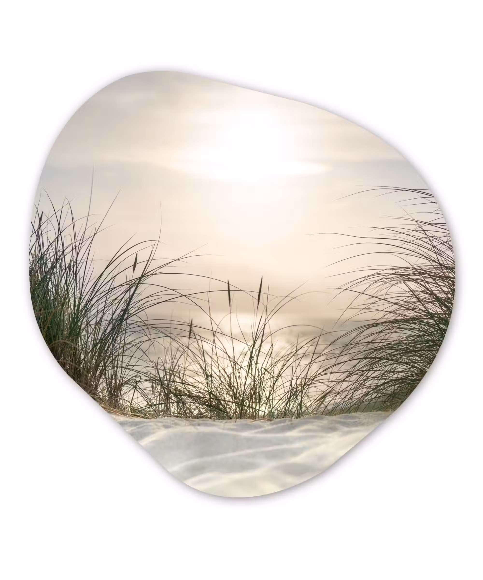Organische Formen – Aluminium – Zand - Gras - Zon