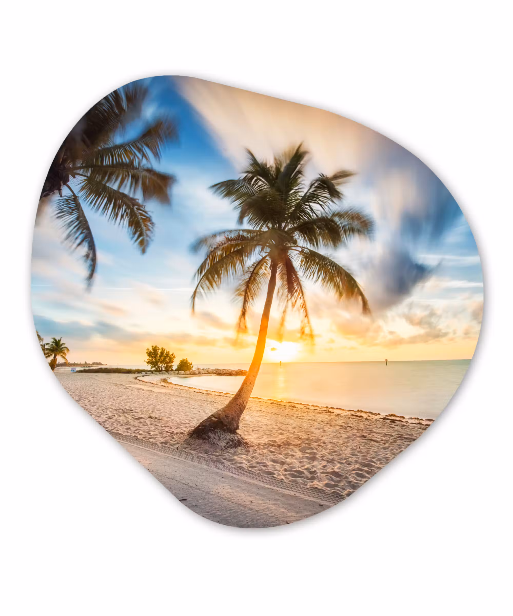 Organische Formen – Aluminium – Zonsondergang - Strand - Palmboom