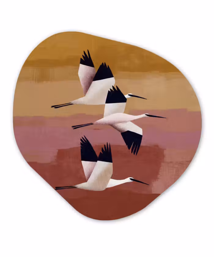 Organische schilderij - Aluminium - Vogels - Snavel - Abstract