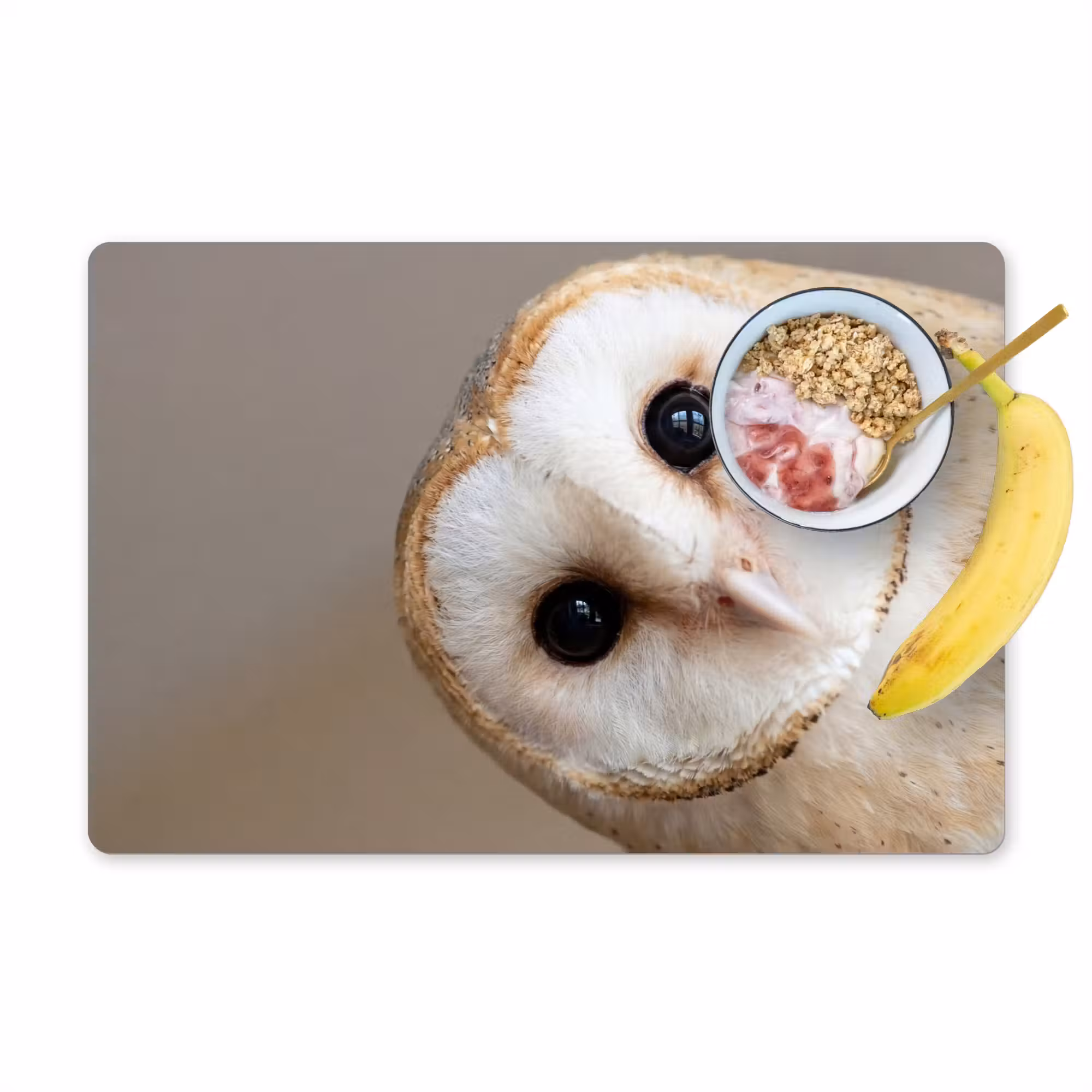 Placemat - 6 stuks - Uil - Bruin - Wit