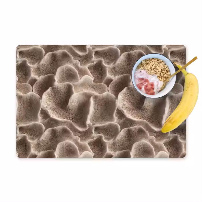 Placemat - 6 stuks - Waaiervorm - Beige - Vezel textuur
