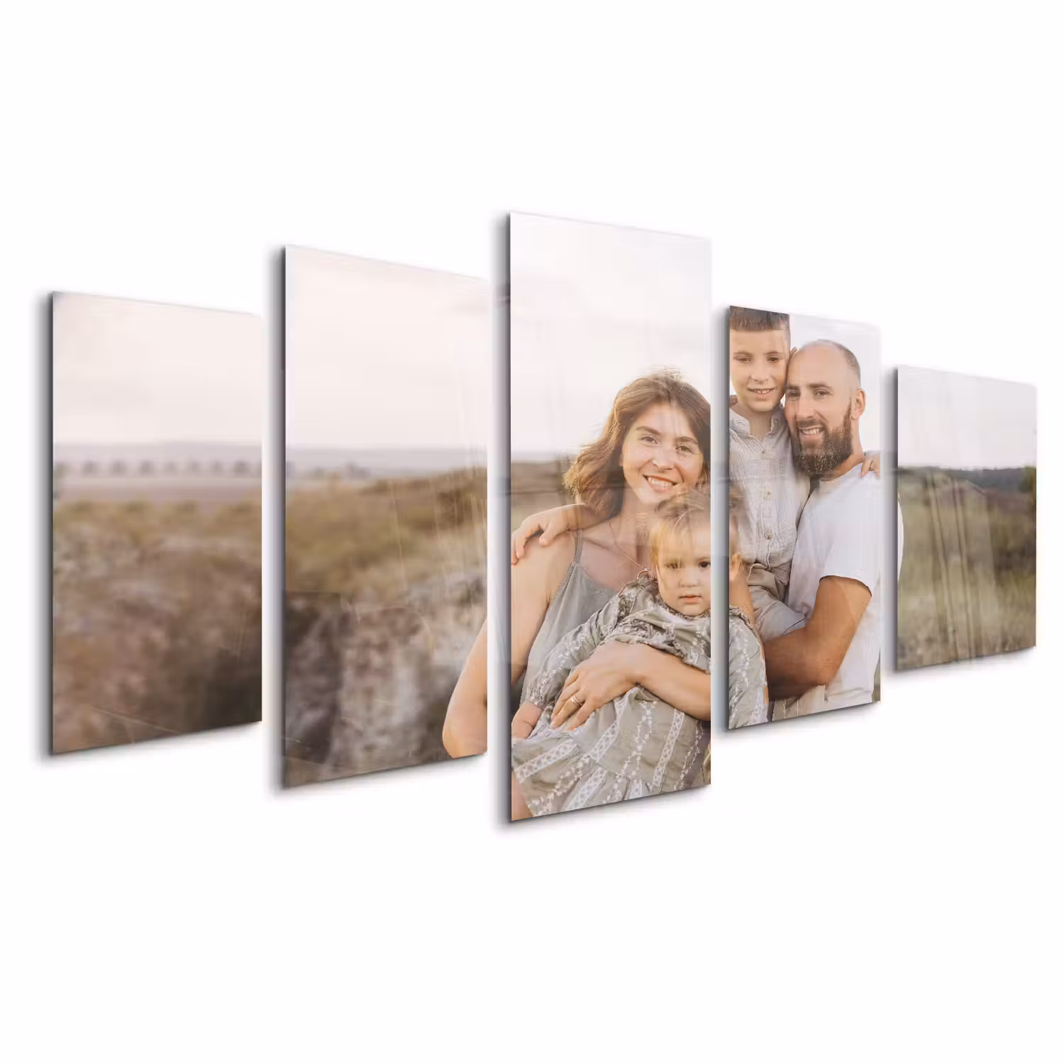 Plexiglas vijfluik - 100x50 cm