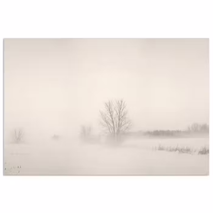 Poster - Boom - Mist - Sneeuw - Winter - Minimalistisch