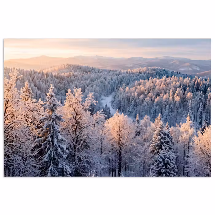 Poster - Bos - Bergen - Goud - Winter - Warm