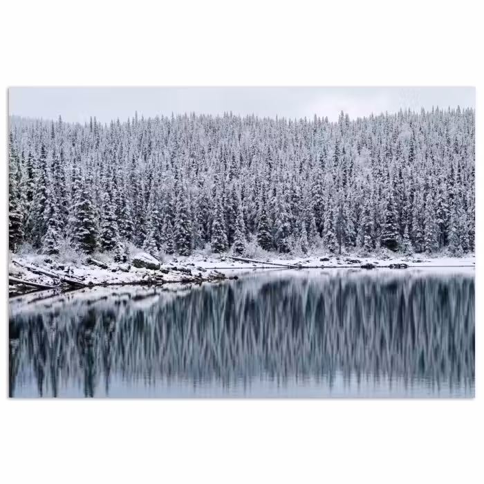 Poster - Bos - Reflectie - Meer - Winter - Serene