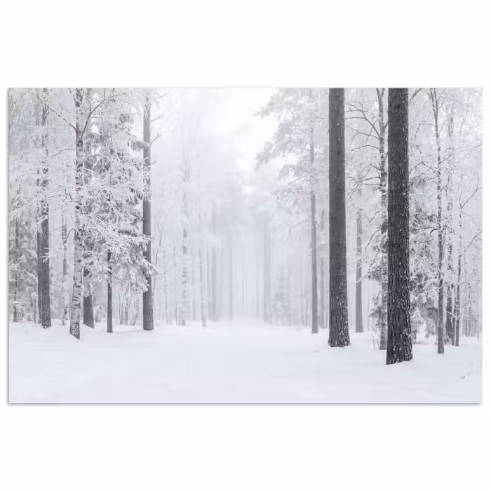 Poster - Bos - Sneeuw - Pad - Winter - Stilte