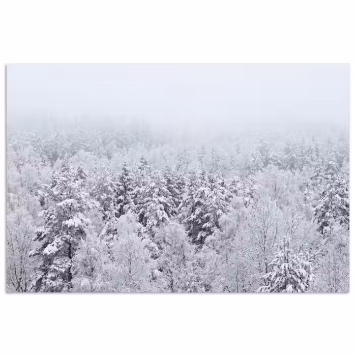Poster - Bos - Sneeuw - Winter - Natuur - Wit
