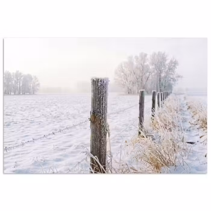 Poster - Hek - Sneeuw - Mist - Platteland - Nostalgisch