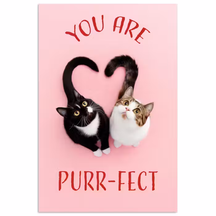 Poster - Kat - Hart - Tekst - Valentijn