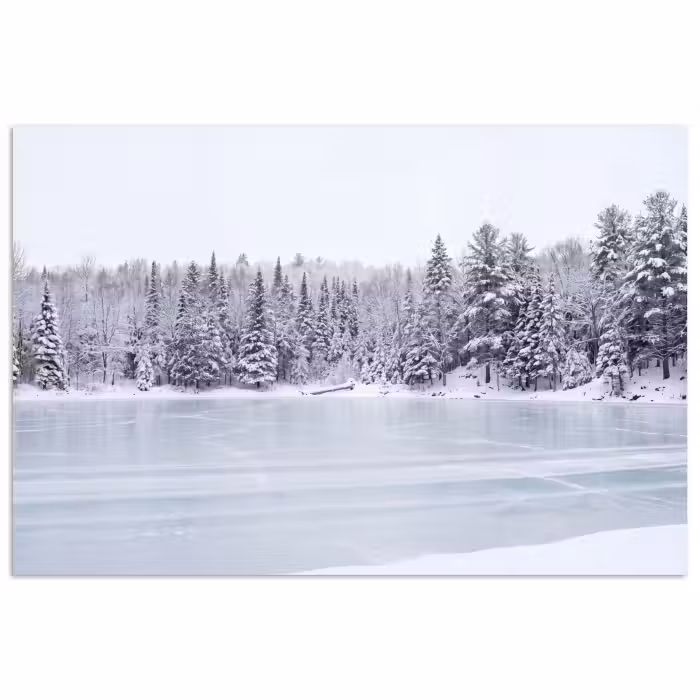 Poster - Meer - Dennen - IJs - Winter - Rustgevend