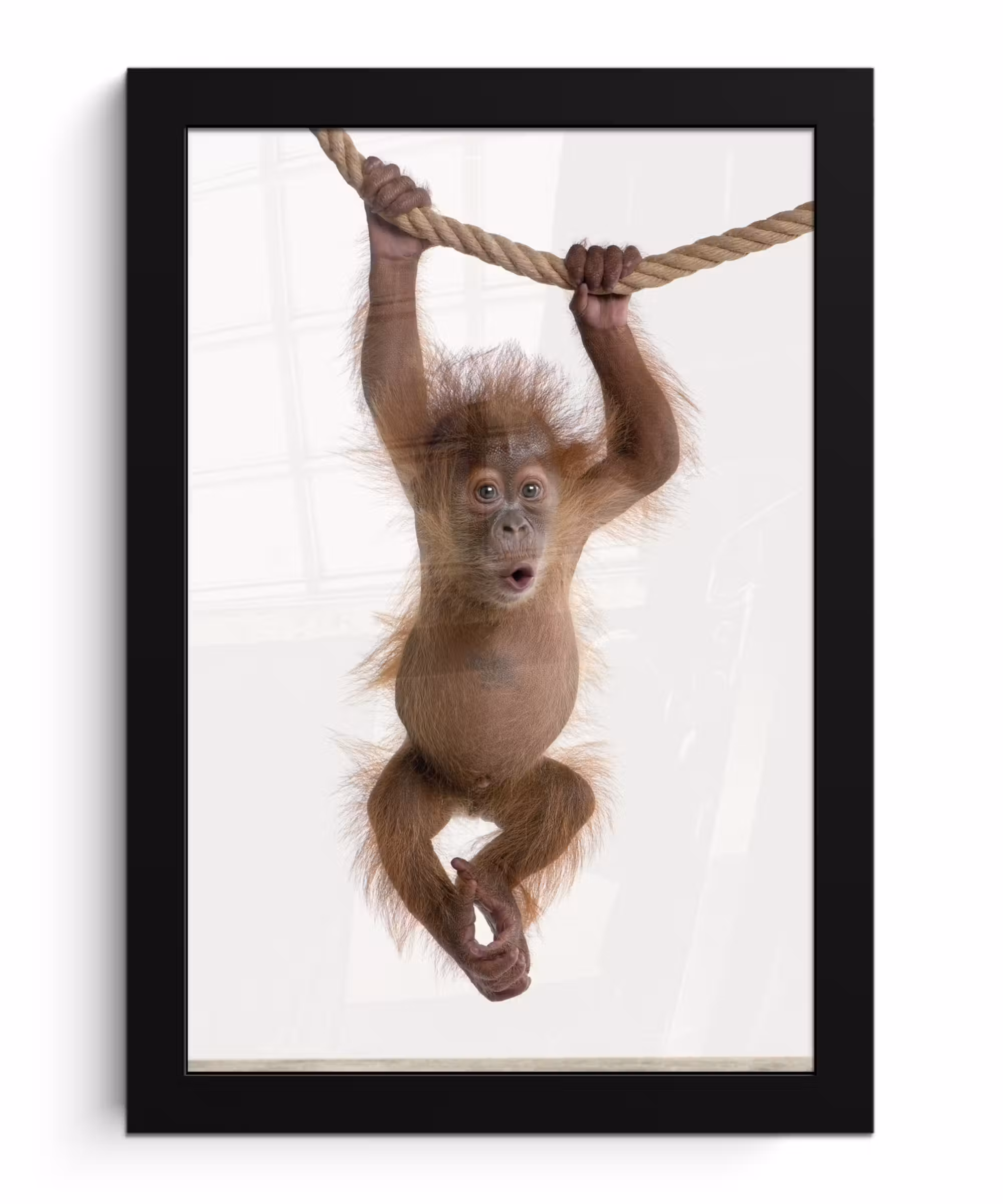 Poster met lijst - Aap - Dieren - Kinderen - Orang Oetan - Jongetjes - Meisjes